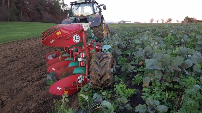 Corrected-field-ghg78b8n7k